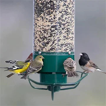 BirdFeeder™ - Anti Squirrel